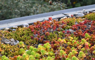 the cost of Penrhys green roof installation