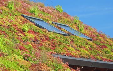 Penrhys living roof systems